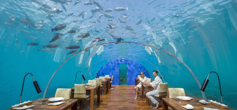 马尔代夫海底餐厅